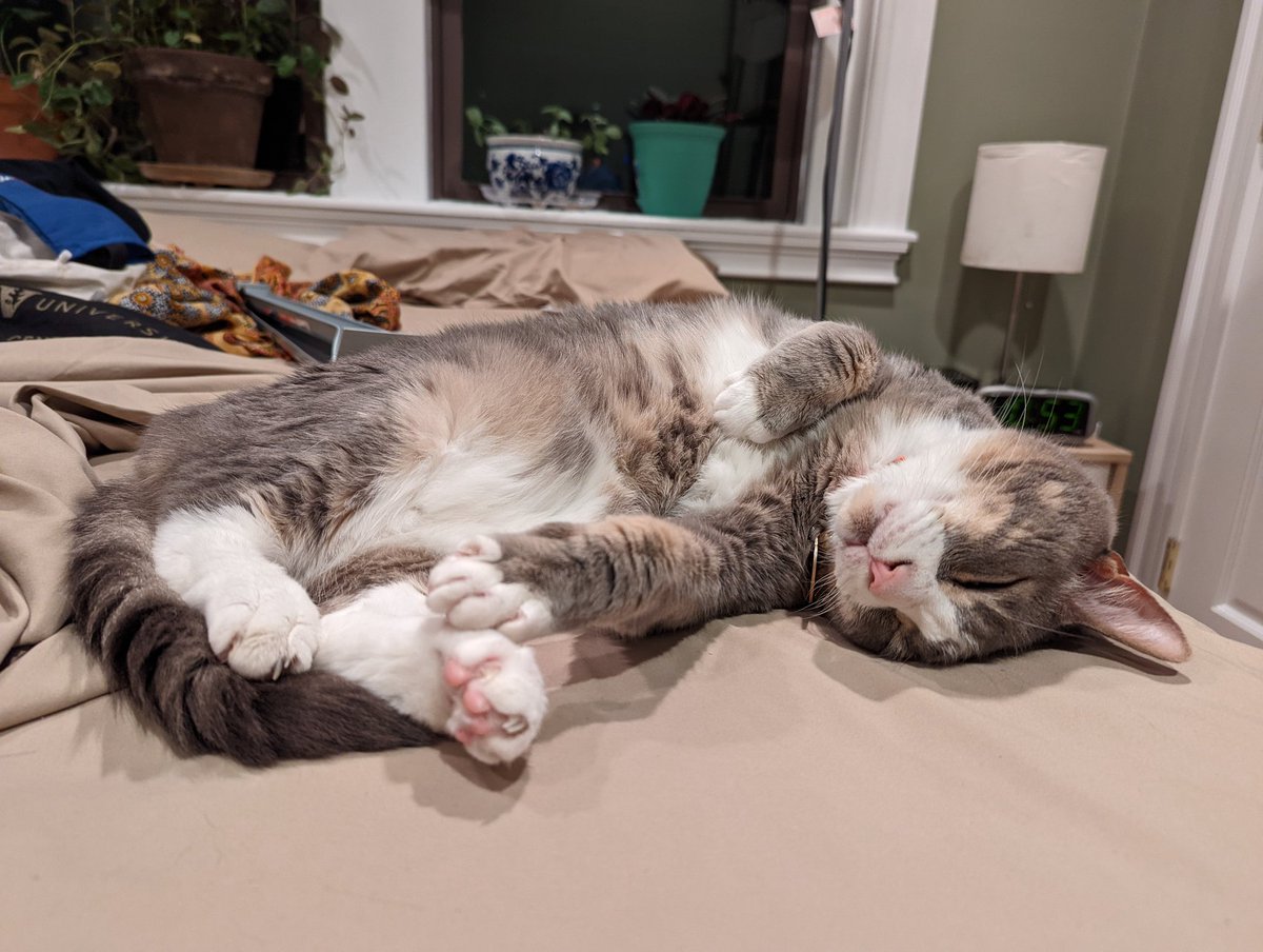 Happy Princemas Hoomans!