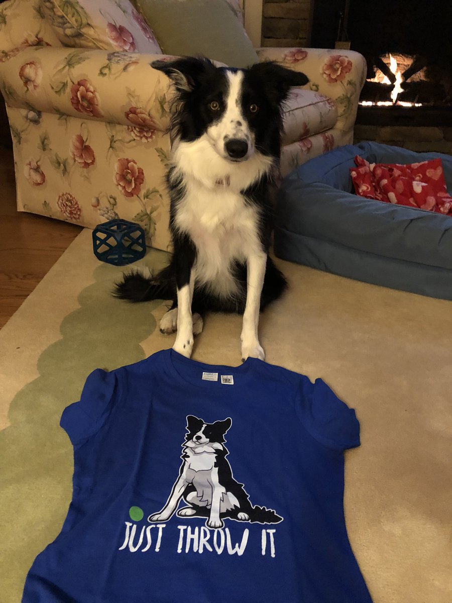 AnnSBarry1's tweet photo. @WilmaBenton19 I gave Momma the same t-shirt that Nashβs Dad is wearing π€£ππ€£.
#dogsoftwitter #bordercollie #justthrowit https://t.co/PJ656z6aat