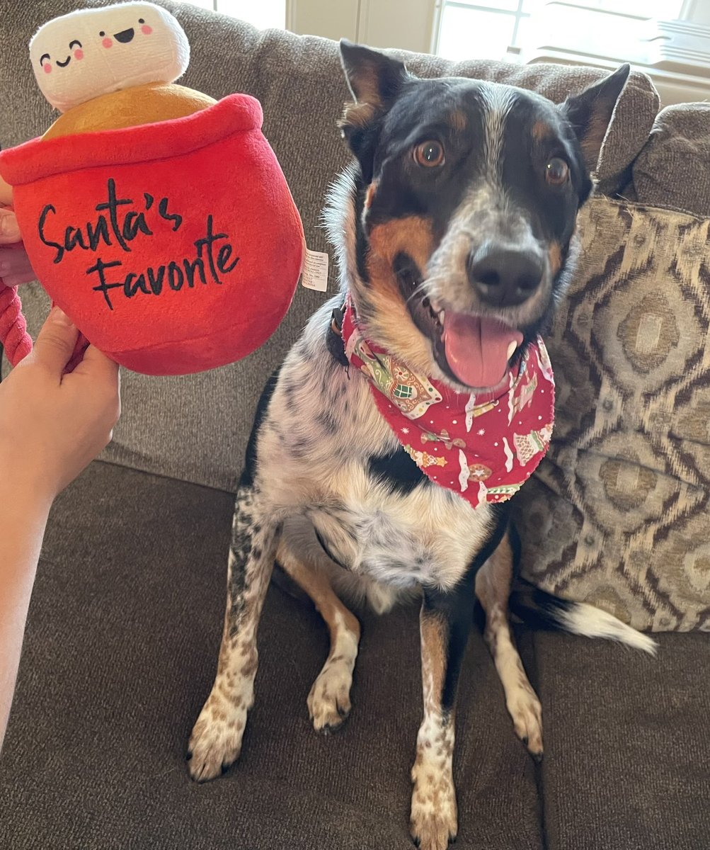 Travis Ruiz tweet media