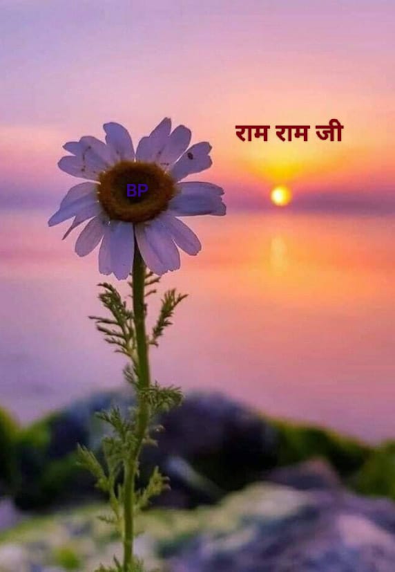 lucythecurious's tweet photo. @SumohiniV Blessed morning jii,sty safe 😷 https://t.co/WzyIiMcL6z