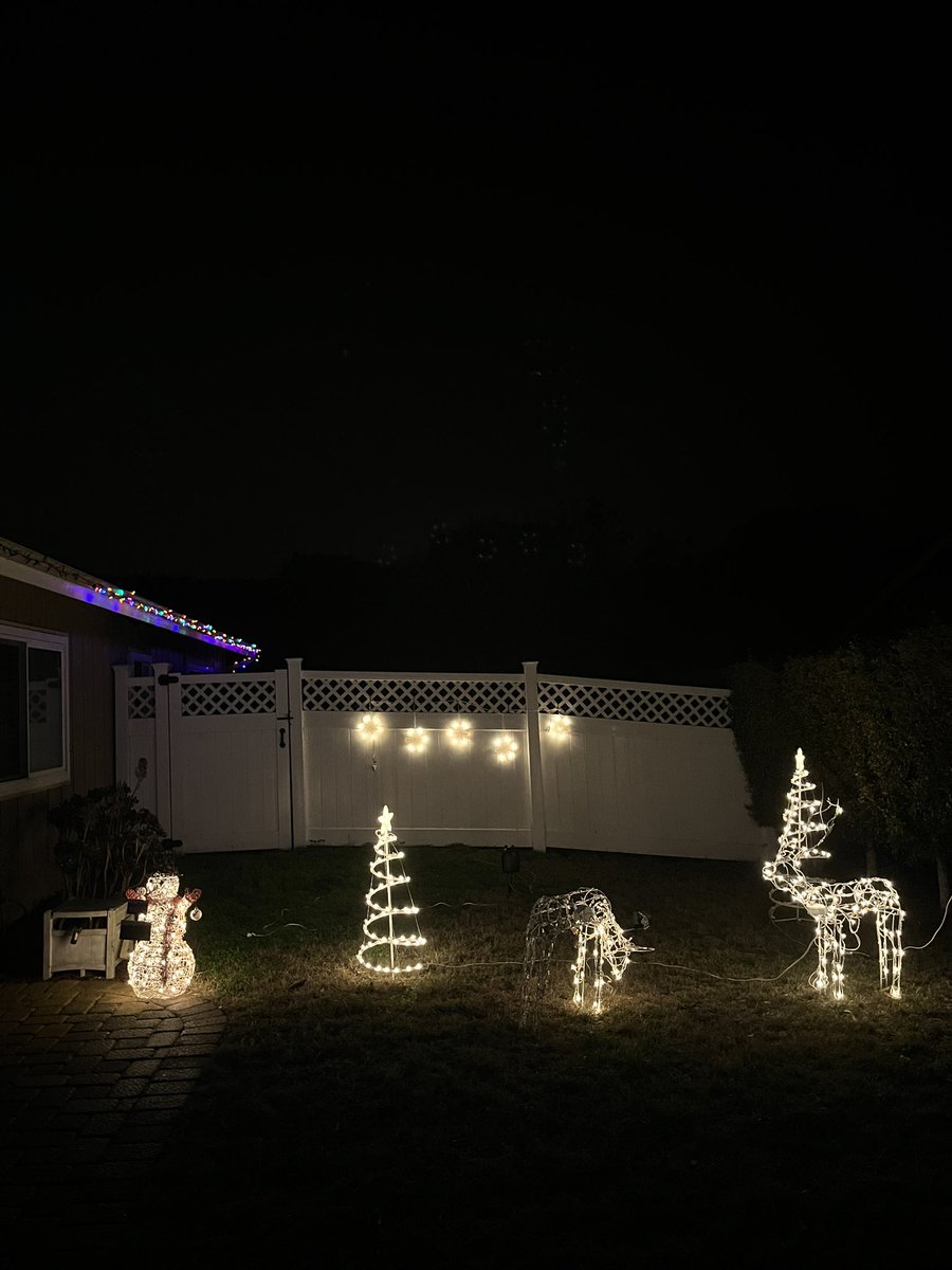 riggasaurus's tweet photo. Merry Quizmice! https://t.co/xHKS1XOYLj
