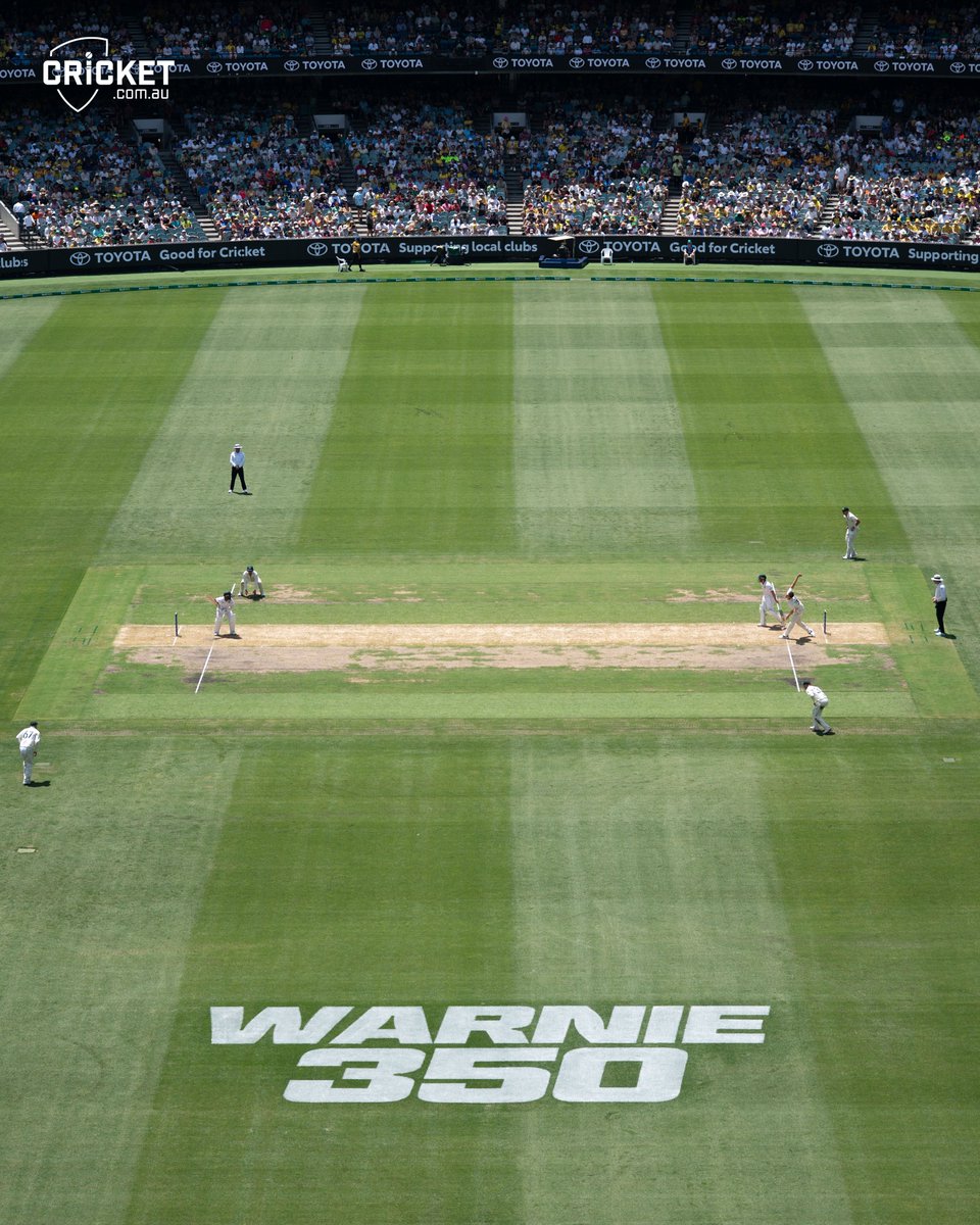 cricketcomau's tweet photo. 💚💛

#AUSvSA https://t.co/VeKn80kNq7