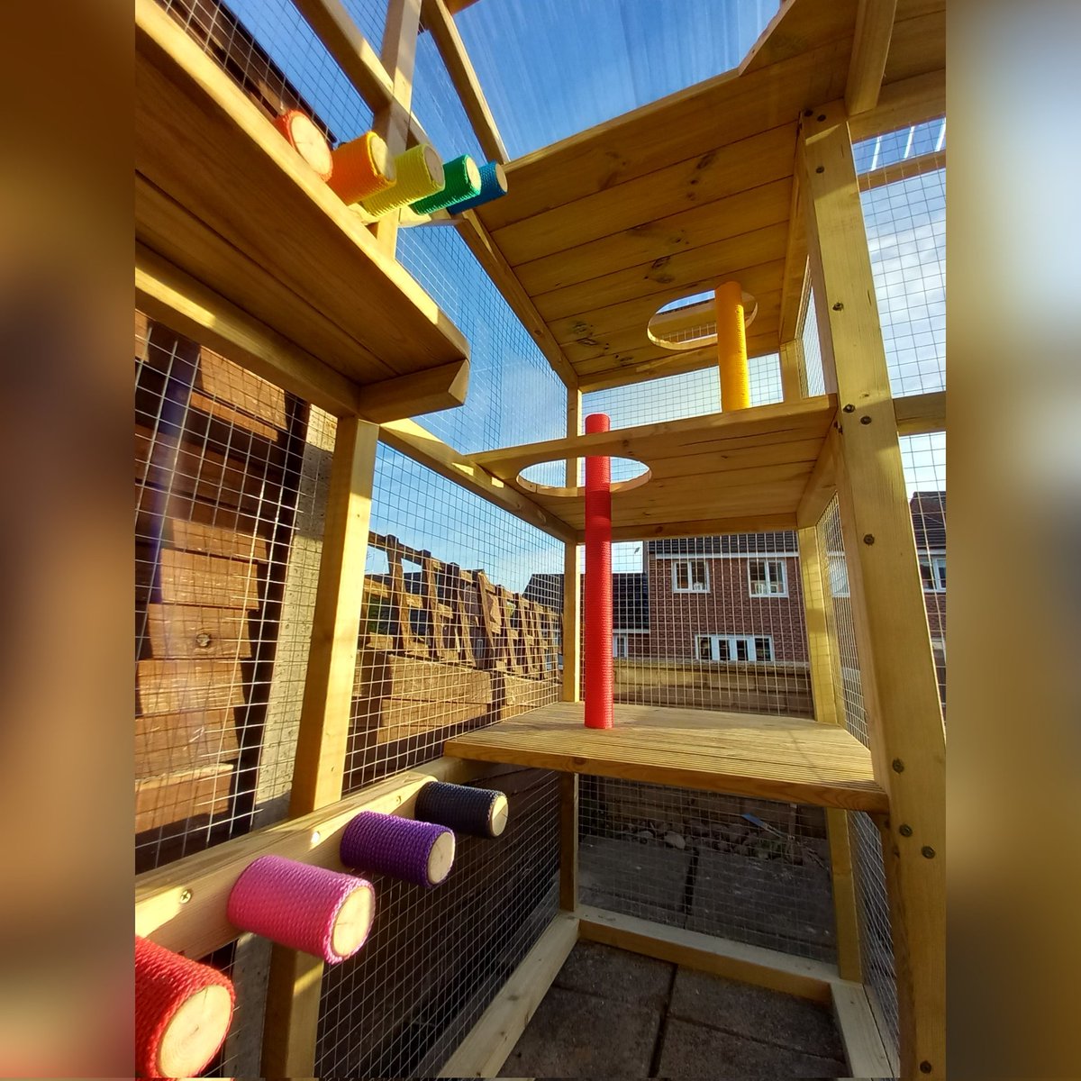 Catio King (@CatioKingUK) / Posts / X