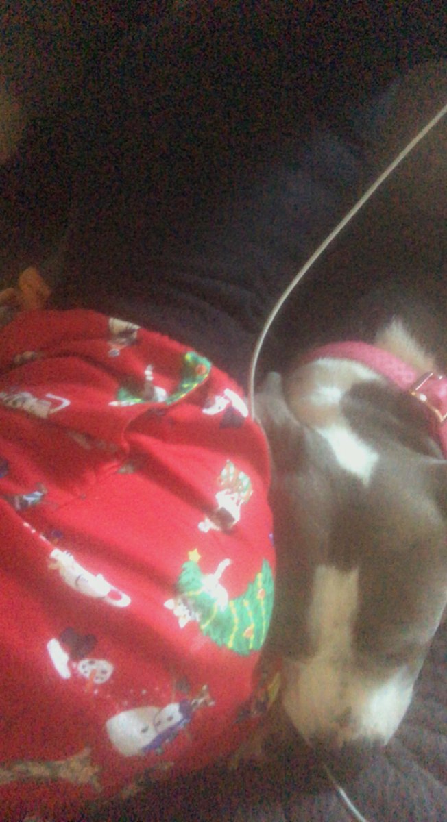 Cozy ✦ tweet media