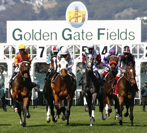 revistahipicaof's tweet photo. Gratis #Programas/#Retrospectos (#PP´s) en español, Oro y Platinum, con #pronósticos para nuestros usuarios
Lunes 26/Dic #GoldeGate @GGFracing
👉https://t.co/Ev2Z9NBdtf
👉Ingresar con tu usuario y contraseña
👉Botón "Prueba Gratis" https://t.co/emp5K2hTgp
