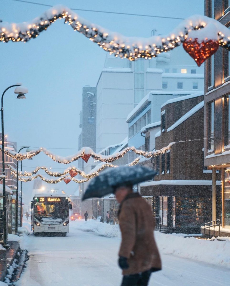 RobertEYarber's tweet photo. Merry Christmas from Tromsø, Norway! 🎄🇳🇴 #Robventures #Robdoesitall #MyBeautifulNightmare Pics by Jensen Media https://t.co/u6wmVXmTur
