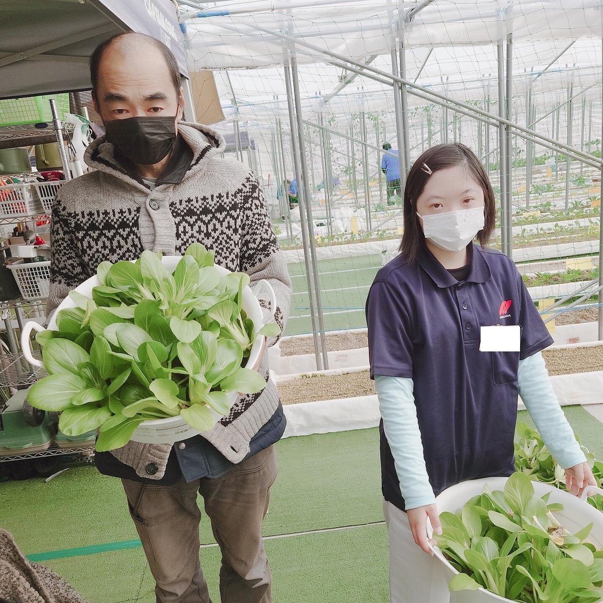MINEZAWA_'s tweet photo. MINEZAWAふぁ～む🌱
先日は秋から始めたチンゲン菜の収穫を行い、弊社の各営業所や海外出向者の方の自宅にお届けしました。
鍋や炒め物など様々な料理に使用でき、シャキシャキとした食感が楽しめるなど大変好評でした！

引き続き、体調には十分気を付け、野菜作りを楽しみながら取り組んでいきます🥕 https://t.co/XU4LWdZ4S4