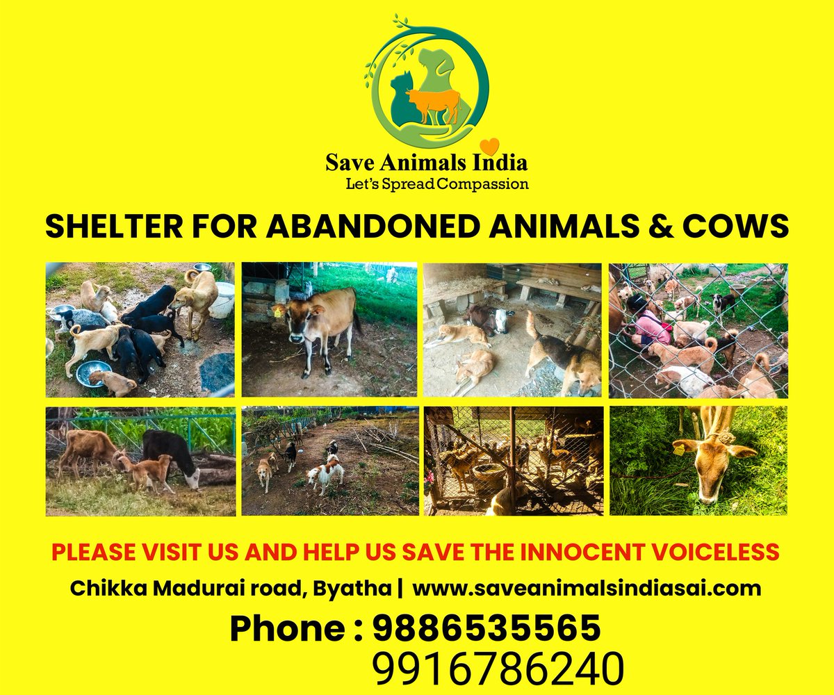 SURYA -THE SOLDIER (@SaveAnimalsIndi) / Twitter SURYA -THE SOLDIER (@SaveAnimalsIndi) / Twitter