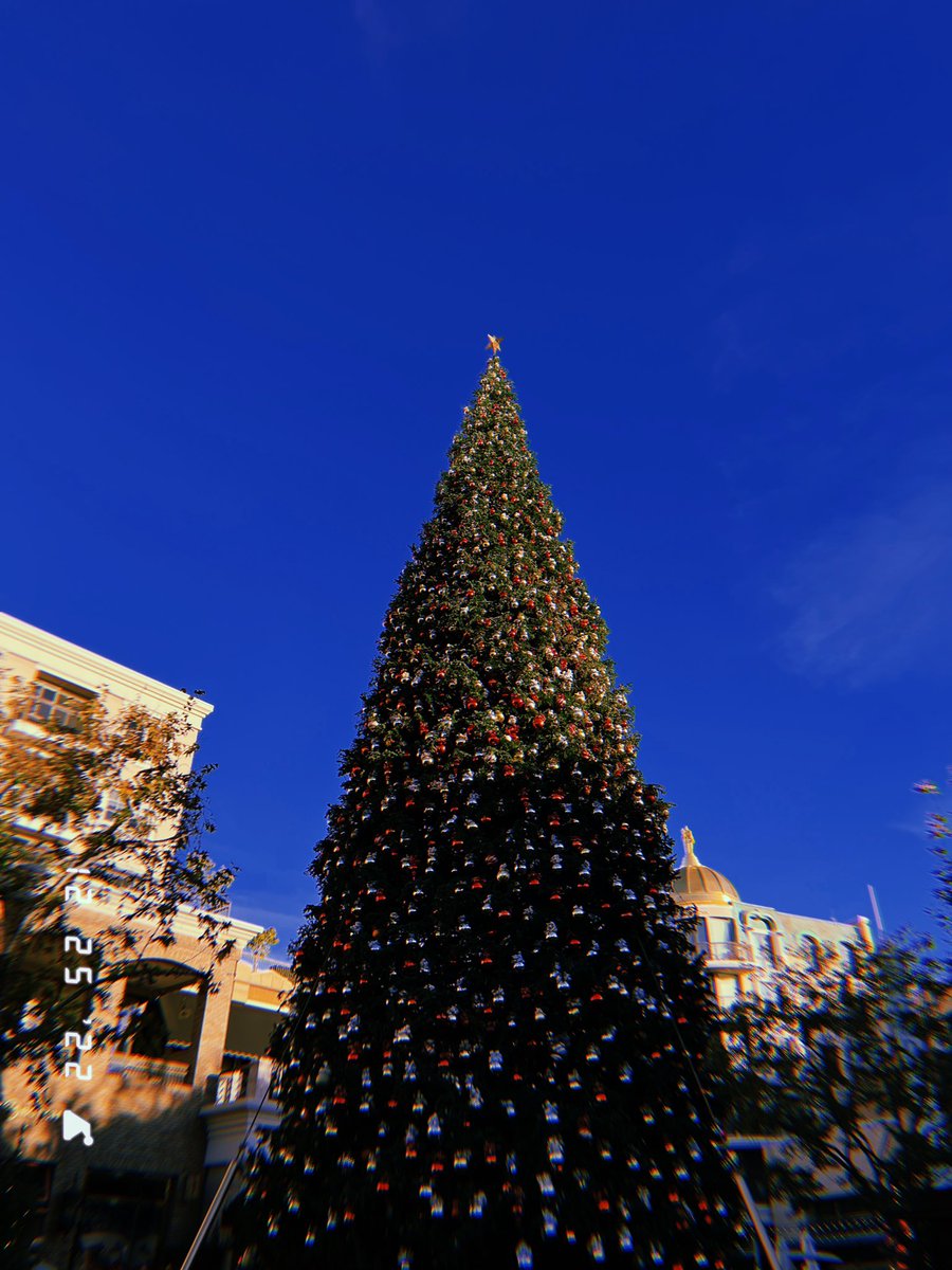 jediginweasley's tweet photo. Merry Xmas! 🎄 https://t.co/klVU15PKXm