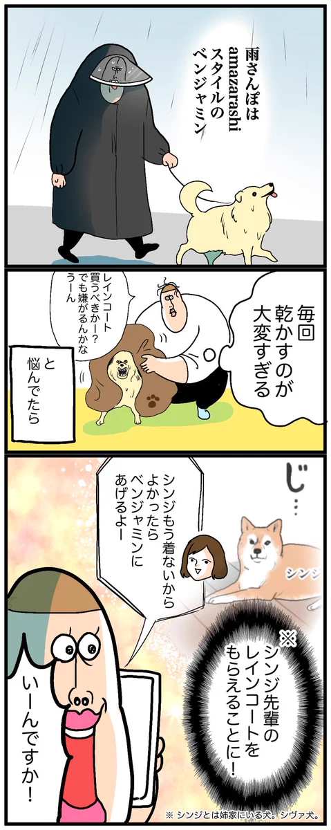 愛犬が初めてカッパを着たときのお話を描いた「犬漫画」！