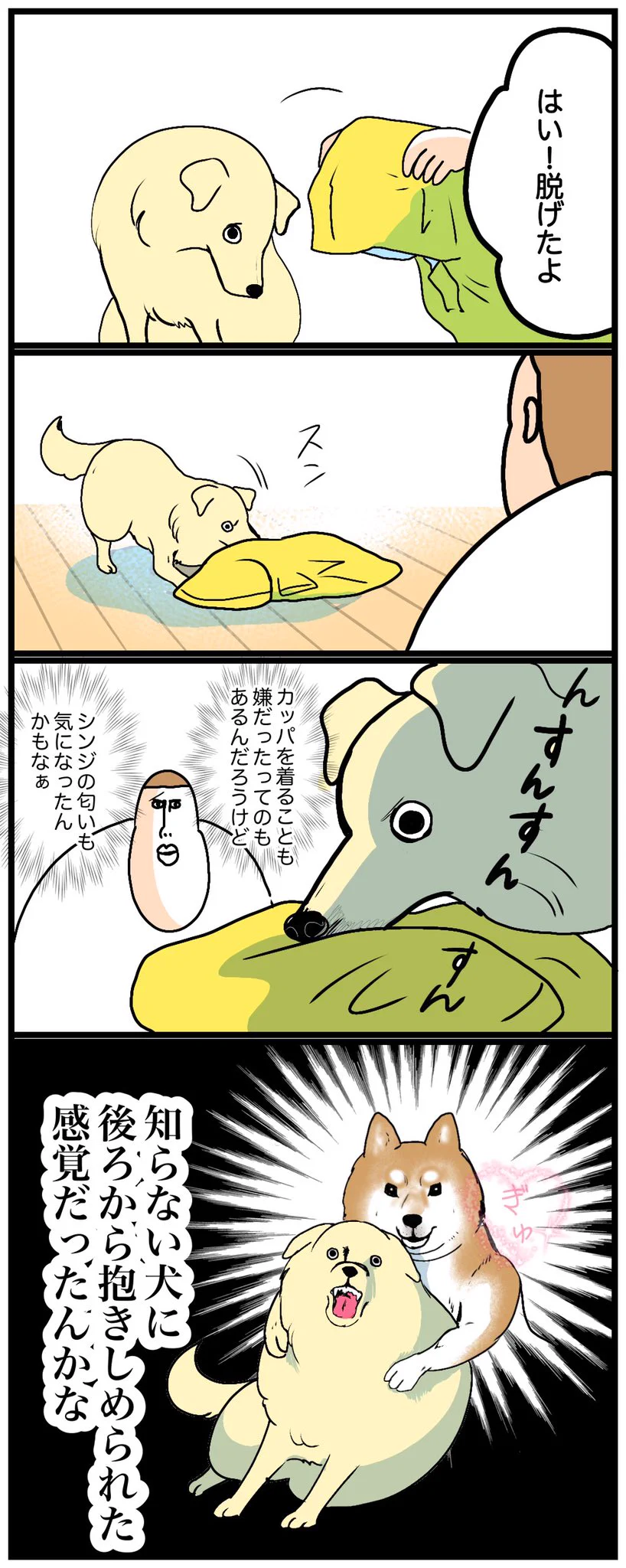 愛犬が初めてカッパを着たときのお話を描いた「犬漫画」！