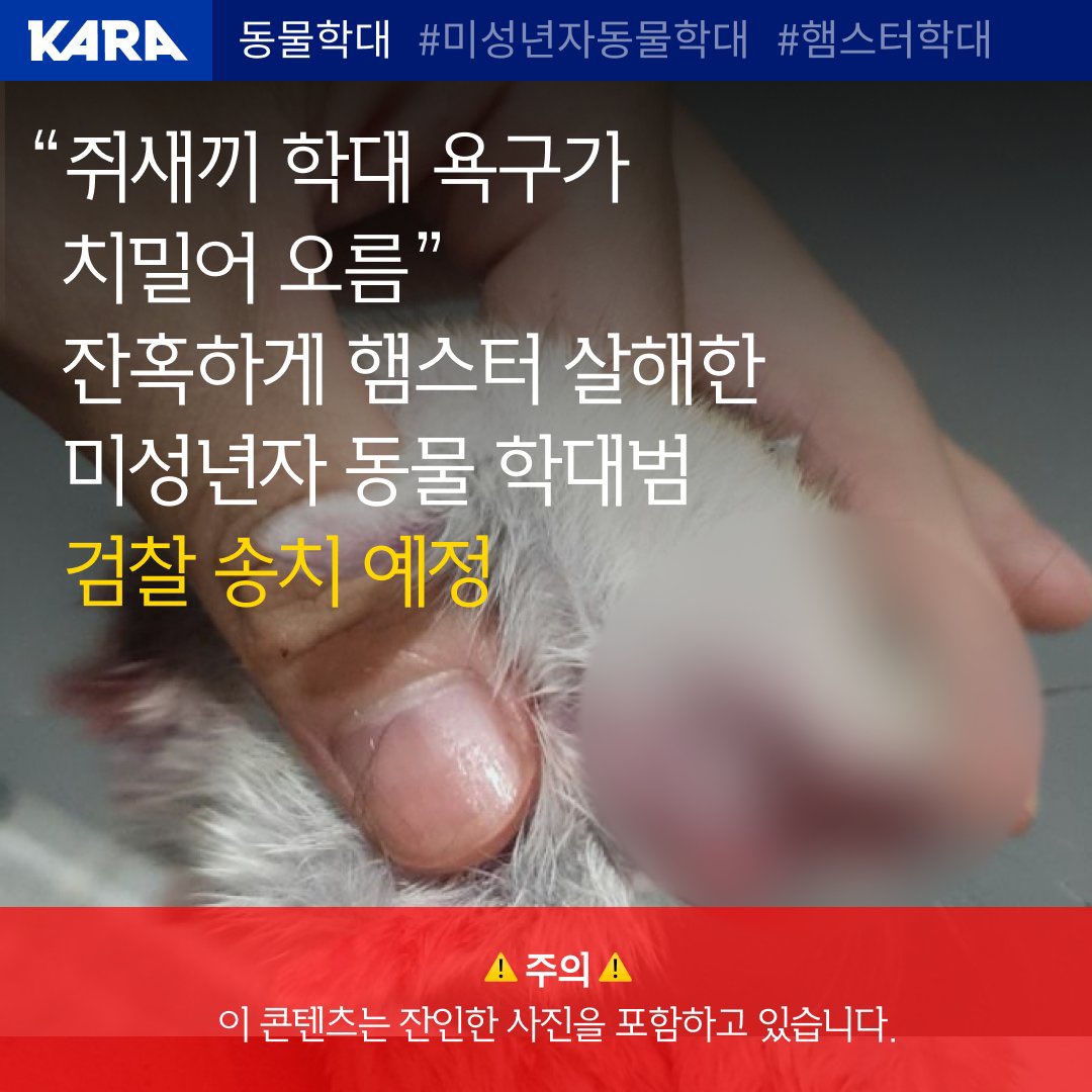 마트에서 돈 주고 산 햄스터를 본인의 집 안에서 잔인하게 죽이니 소동물 범죄는 더더욱 검거가 어려운 것 같아요.

‘뵤’로 즐거웠던 적이 있으시면 이번 일에도 힘을 실어주세요. 1g이라도 더 무거운 죗값을 받을 수 있도록, 유사범죄를 저지를 생각을 못하도록 서명해주세요