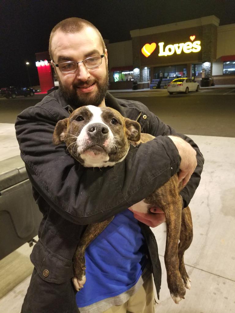 MarleyMud's tweet photo. Hope everyone and all the #rescues are having a wonderful #Christmas! We had 72 #RescueDogs on #RescueTransport over the past 2 weekends! Came close to getting stuck in snow in #Maine and #Buffalo but made it home safe! Remember as always #AdoptDontShop https://t.co/dVVIVOEZSQ