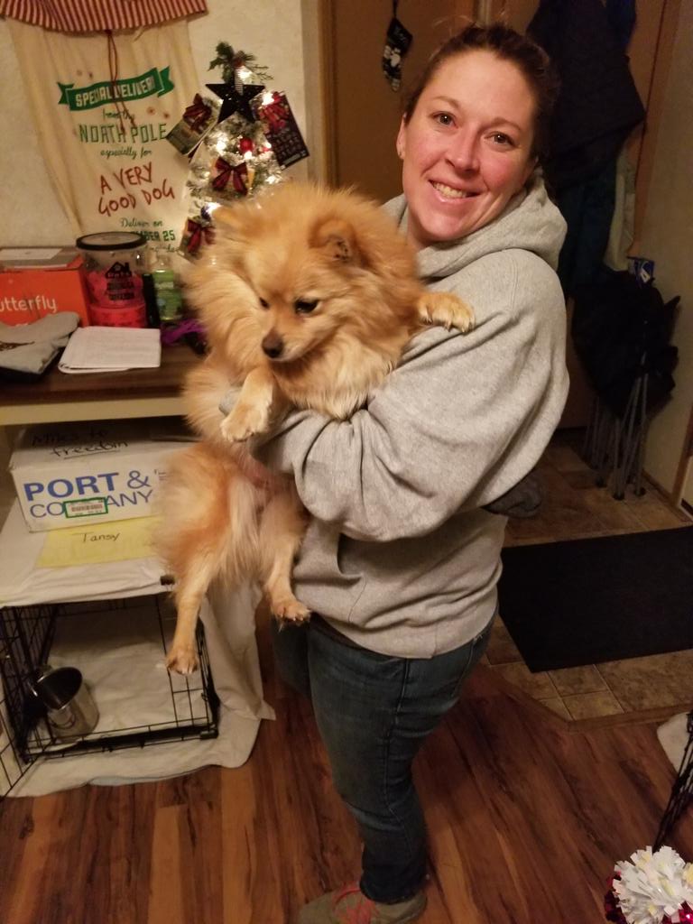 MarleyMud's tweet photo. Hope everyone and all the #rescues are having a wonderful #Christmas! We had 72 #RescueDogs on #RescueTransport over the past 2 weekends! Came close to getting stuck in snow in #Maine and #Buffalo but made it home safe! Remember as always #AdoptDontShop https://t.co/dVVIVOEZSQ
