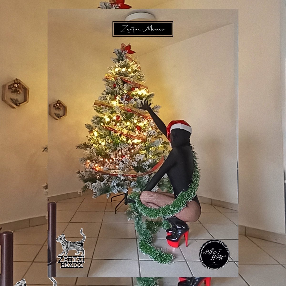 ZENTAIMEXICO's tweet image. 🖤🍒🍒🍒🖤
Estrenando nuevo traje ? 

Modelo y fotografía: 
cher.ry_z 

#newiconmodels #zentaimexico #zentai #zentaisuit #zentaigirl #zentaicosplay #navidad #xmas #fotografia #photography #models #modeloscdmx #cdmx #ciudaddemexico