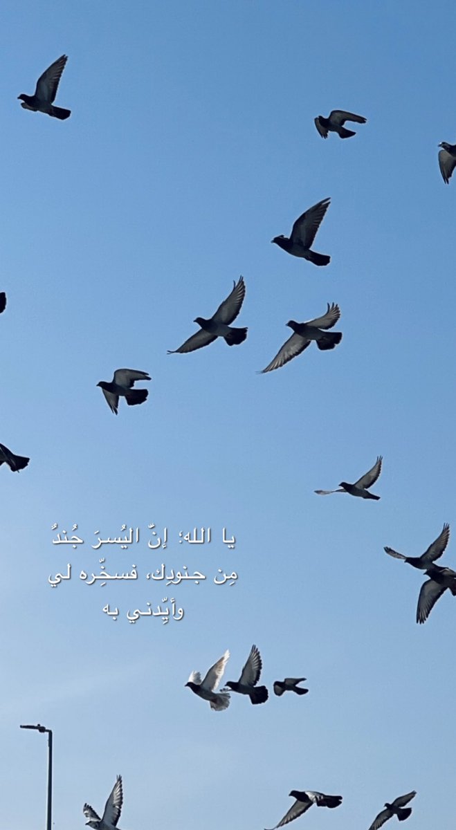 Jhoonh_'s tweet photo. صباح الفأل 🌱💕💕. https://t.co/OHaTl4CSJg