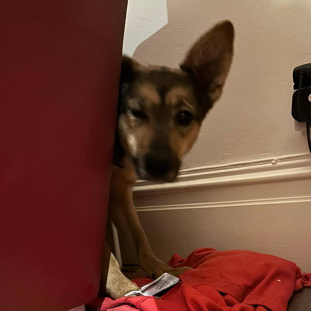 Rory Cellan-Jones tweet media