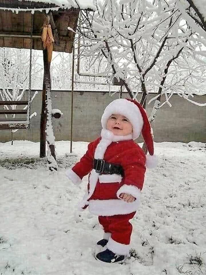 Krystyn31197823's tweet photo. ❄️❤️❄️
           .. Soooo Cute 🥰 https://t.co/ZOiGv3lZE3