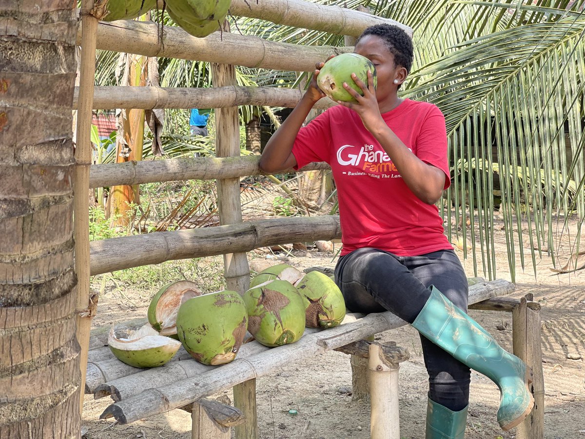 Is it even really a vacation without coconuts? Good morning farmers