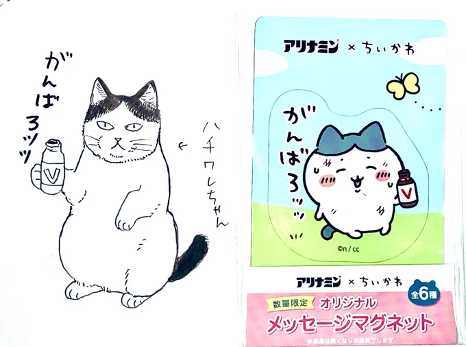 一つの山は越えました。が、まだまだあるのだ。
今ちょっとツイッター見たらなんですか、モーニングに先生たちがちいかわを描いていらっしゃる⁉︎
私何も聞いてない!
私だってちいかわ好きなのに!というわけで勝手に参戦してやりますよ
ハチワレちゃんですよ
アリナミン飲みまくりですよ 