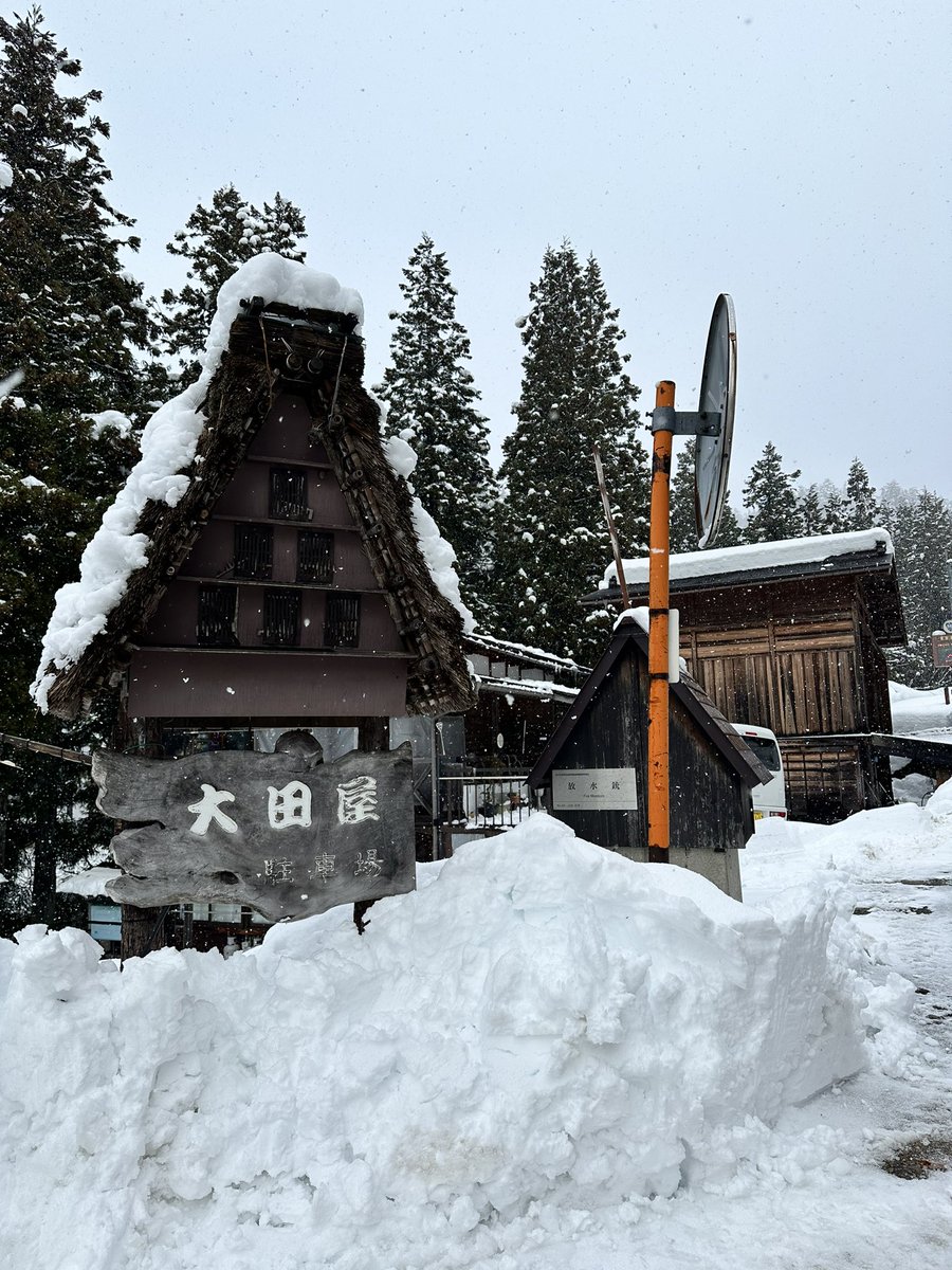 Hyewon Hwang tweet media