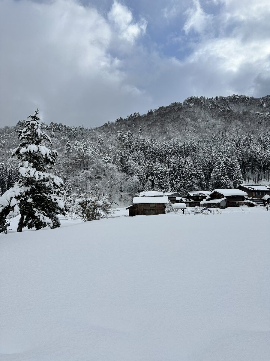 Hyewon Hwang tweet media