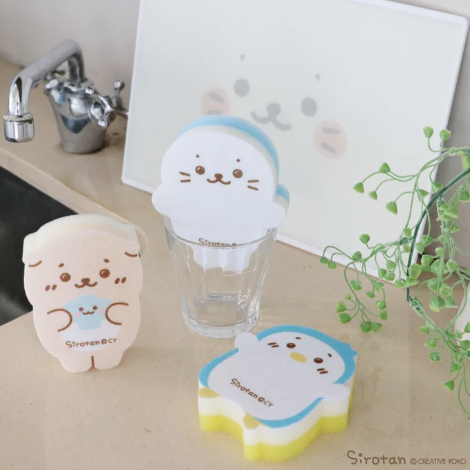 🌿年末の大掃除にも活躍✨しろたんスポンジが登場🌿

■食器用スポンジ3個セット
■メラミンスポンジ2個セット

キッチンや洗面台におくだけで癒される♡かわいいダイカットデザインです🧽

メラミンスポンジはいろんな汚れを落とすのに便利だよ♪

ネットショップはこちらhttps://t.co/n3Libe7UPb 