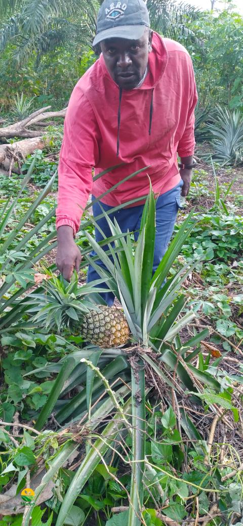 fi_ilunga's tweet photo. Miso etalaka kasi emonaka té
Yango toujours elukelaka motéma
Bolozi, mindondo ...
#phaseur https://t.co/ySSxWwn8tE