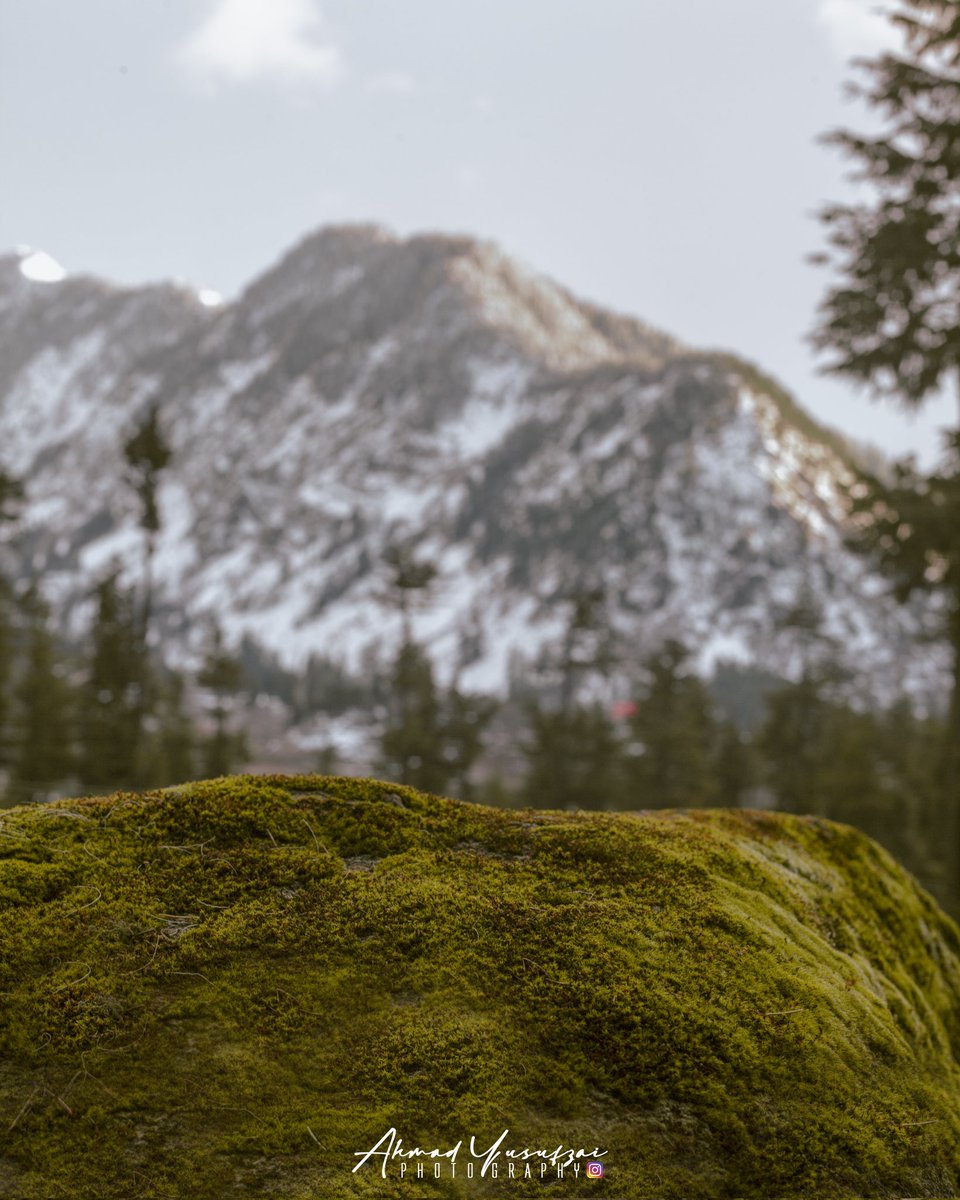 ahmadkhansh7's tweet photo. Kalam valley SWAT 
.
.
.
.
.
.
.
.
.
.
.
.
.
.
.
.
.
.
.
#swat #experiencepakistan #earthpix #voyaged
@voyaged #hikingtheglobe @hikingtheglobe
#natgeotravel #uniladadventure @uniladadventure
#wilderness #ahmadkhanyusufzaiphotograpgy
@NatureGeography  #pakistan
#choosemountains https://t.co/0orHDwa7oz