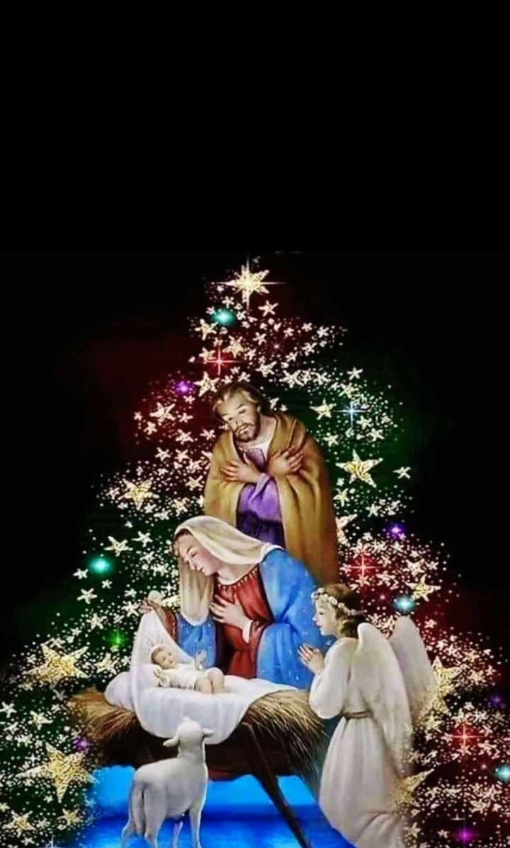 daniloscream's tweet photo. @TZulay08 Feliz navidad 🎄🎄🎄🎄 https://t.co/cwvI3TApbU