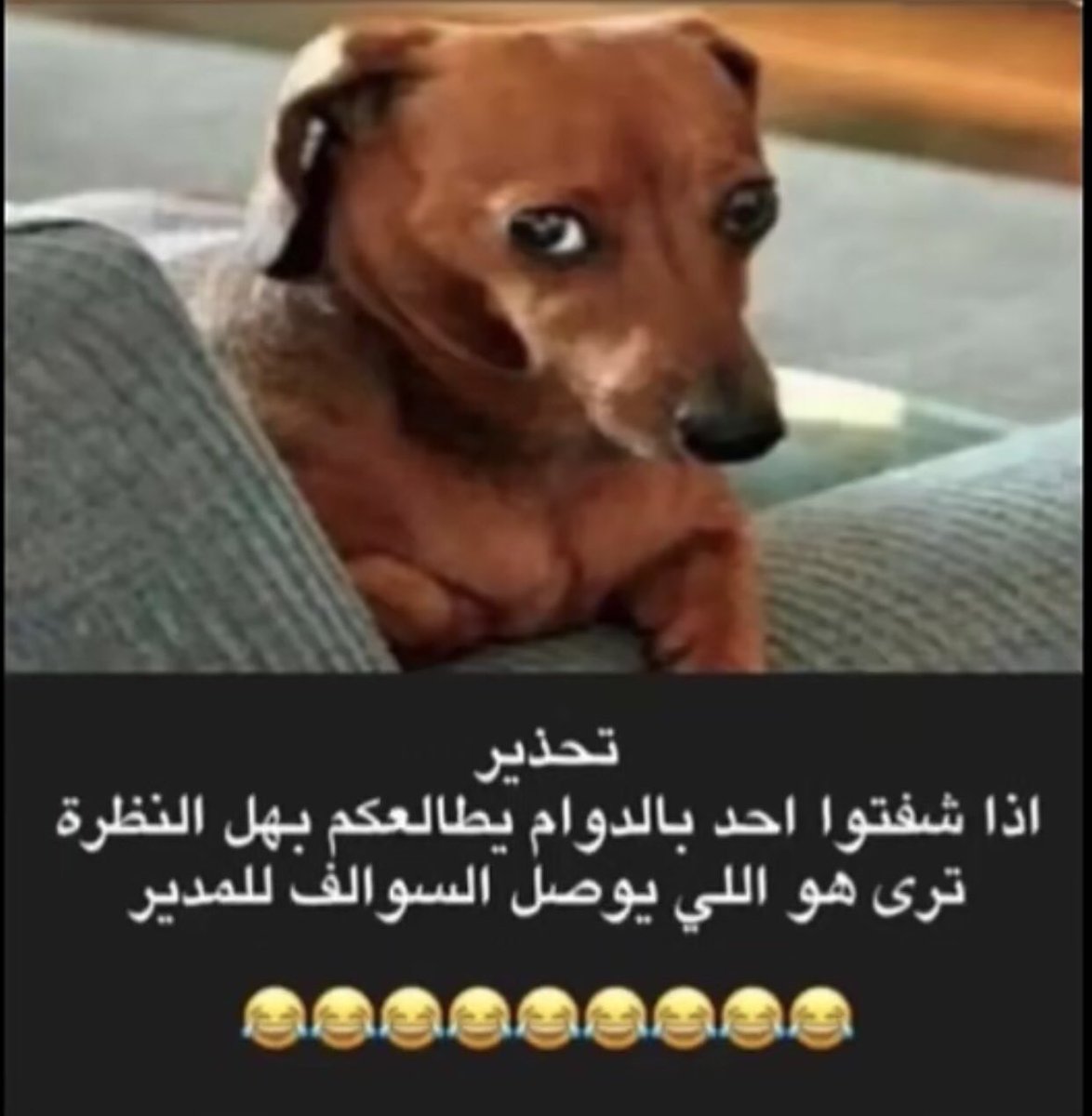 الزهراني tweet media