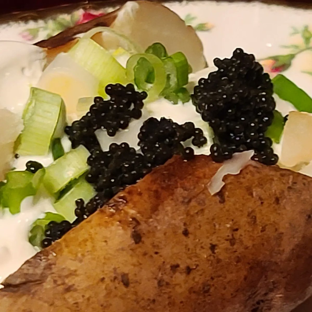 TheReyesGroup's tweet photo. Christmas Diner, a Prime Rib, Cavier Baked Potatoes and Asparagus.
#Christmas #Dinner #PrimeRib #Rib #Prime #Cavier #Baked #Potatoes #Asparagus @posh_vero @3_poshgirls #Party #Drinks #Food #Foodie #Life #Work #Hard #See #World #Travel #TheReyesGroup https://t.co/uUCEQ9njc8