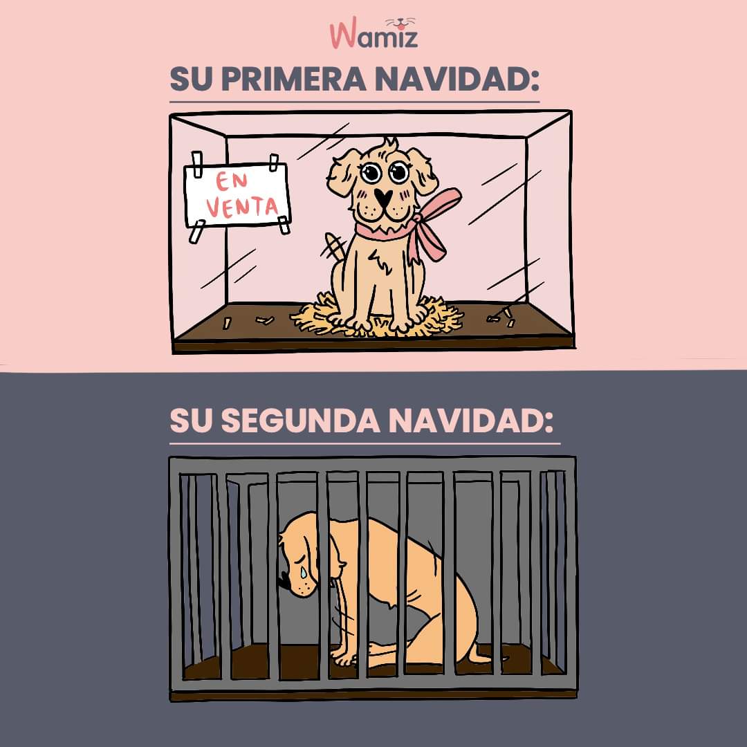 Impulso Pro Animal tweet media