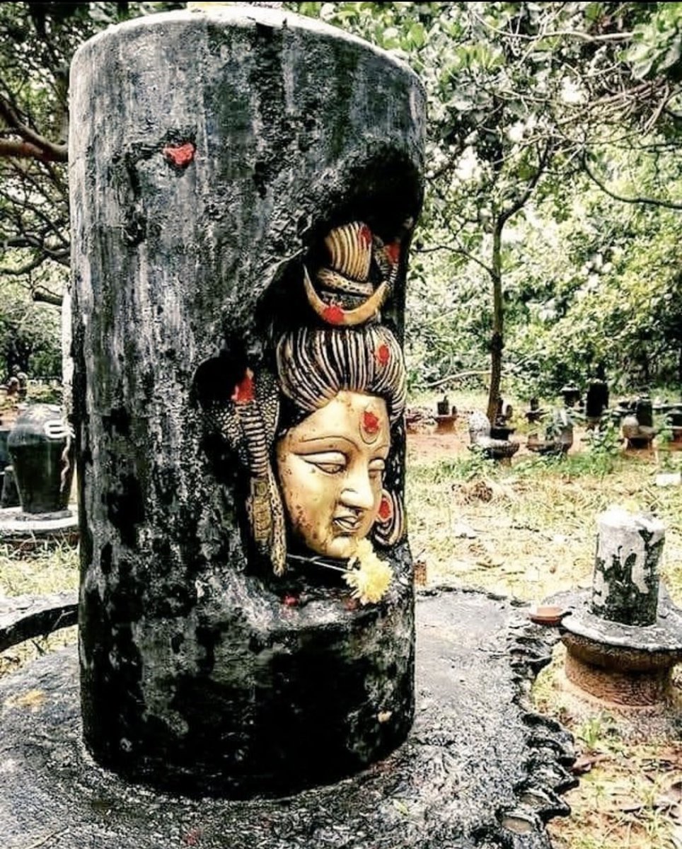 pujari_anup's tweet photo. आस मे हूँ उपवास में हूँ..!!🍂
मैं तो भोलेनाथ की तलाश में हूँ..!!🍂
#हर____हर___महादेव 🙏 https://t.co/G7Z9NjOlkB
