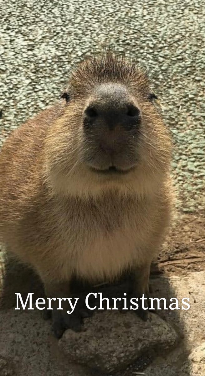 LanderPolice's tweet image. gort says Merry Christmas
#gortpullup
#LPDSTronk