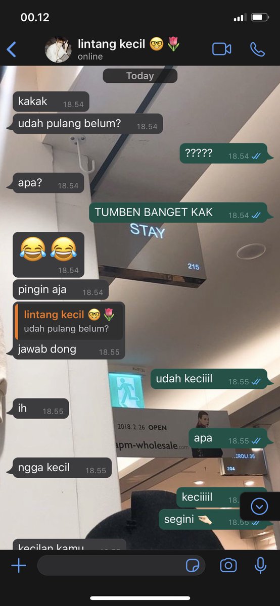vivi tweet media