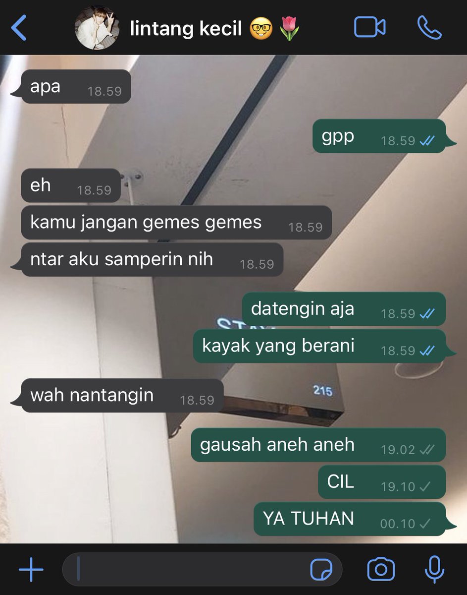 vivi tweet media
