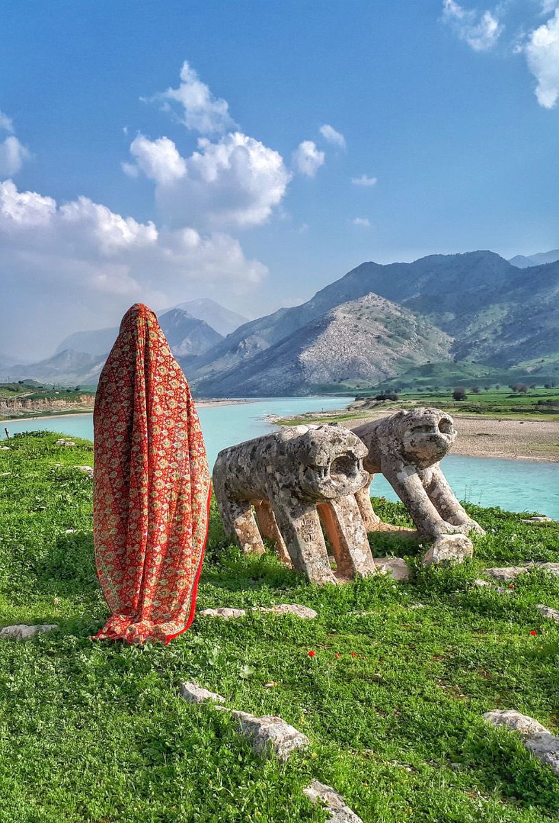 IranianPlateau's tweet photo. چِهِلْ روز است که ایذه رنگین‌کمان ندارد.

دشت سوسن ایذه، خوزستان
عکس از @Baagherr https://t.co/Oy8A00Q8zD