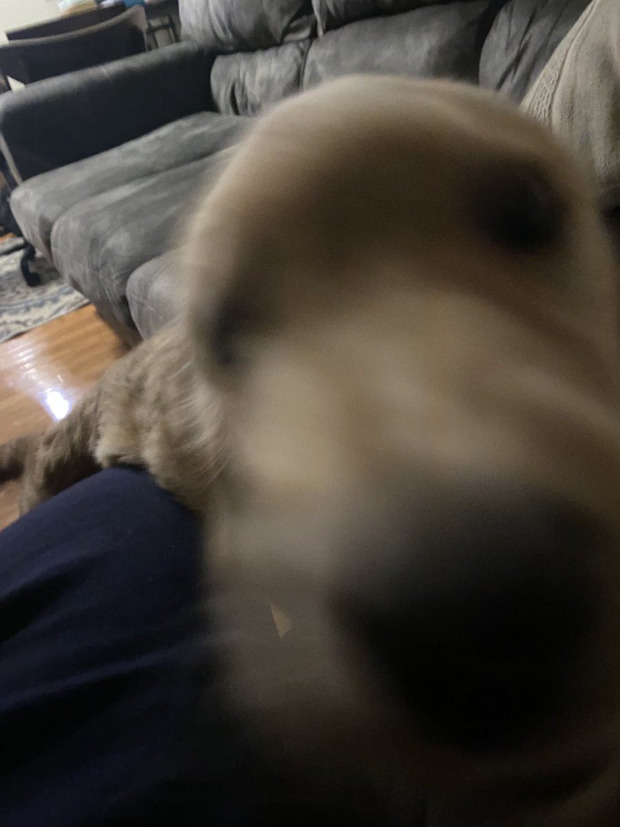 💀: I raise thee: lola