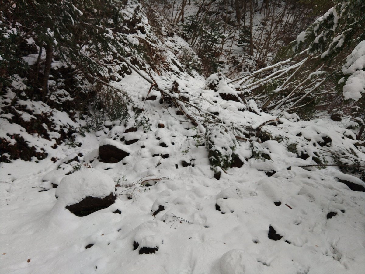 BlueWing_osaka's tweet photo. ホワイトクリスマスな日は野迫川村をRR4T480と2台で雪中ツーリング
数本走り最後は登りきった先にごまさんスカイタワーが見える林道
１m近く積もってるとこがあっても3速～4速全開タイヤの回転でクリア💨
着いたらサイレンサーのパンチング真っ赤っか🔥(笑)
#林道ツーリング
#BETA
#2st300
#4st480 https://t.co/qPkYasu2jD