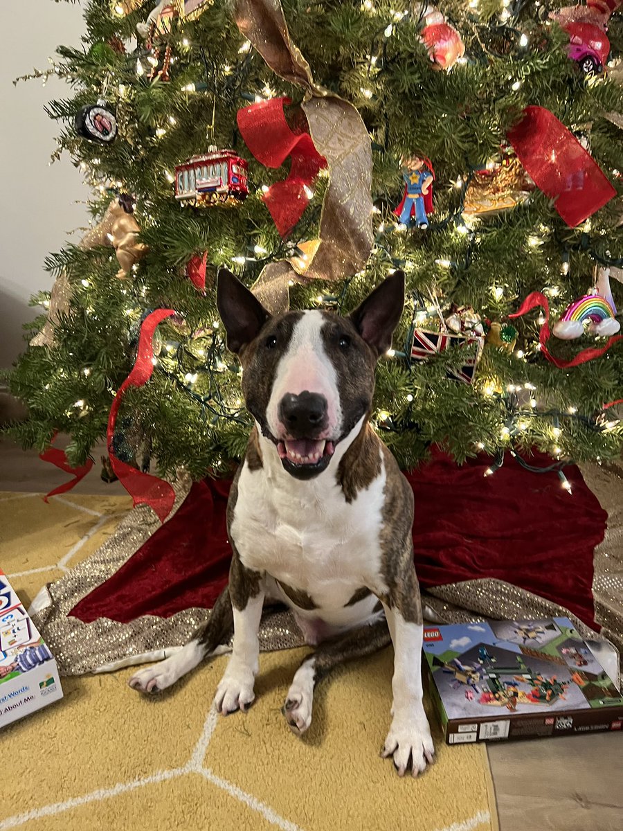 Andy Lorek (@mrtall) on Twitter photo 