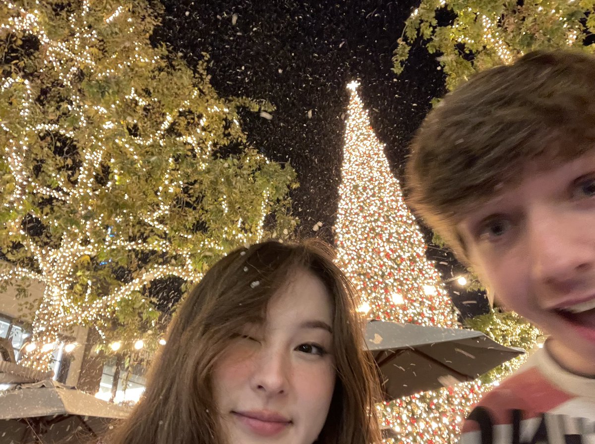 tinakittenalt's tweet photo. happy holidays!! :D https://t.co/StPKxbSGCh