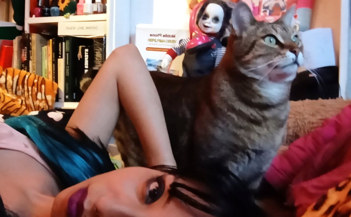 iisasuarez's tweet photo. La elegancia quiso cuerpo y vida, por eso se transformó en gato 🐈💚
#cat #gato #catlover #selfie #estyle https://t.co/b55NaLvDjw