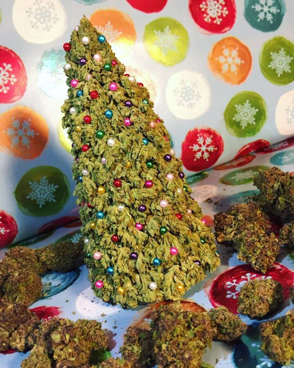 Hippie_SolAndPepper tweet media