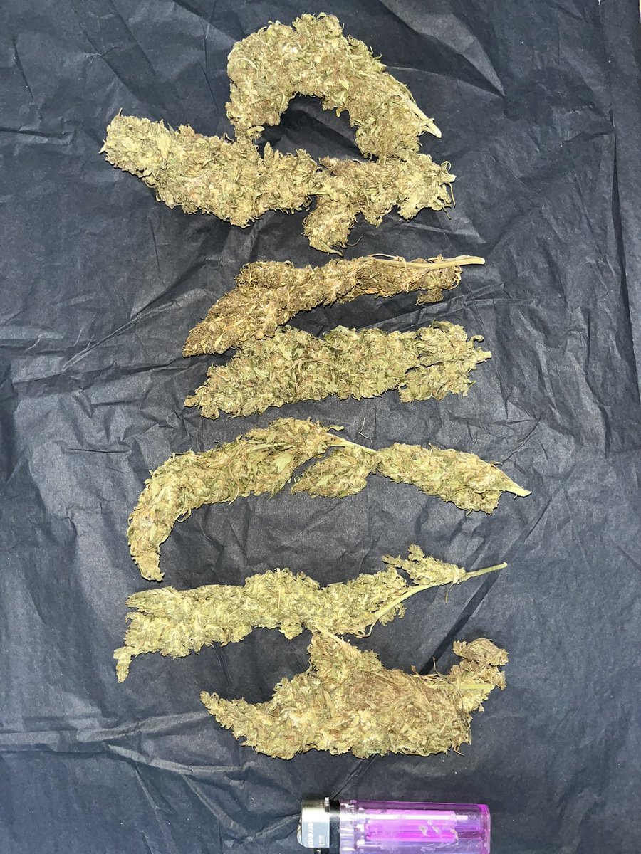420Roll_premium's tweet photo. ดอกGreenCrack มีบริการชมมือ กทม รังสิตลำลูกกา รามอินทรา พหลโยธินขับส่ง24ชมและเก็บปลายทาง สอบถามLine:https://t.co/6DLMgLuPGw 10G-100฿ 25G-250฿ 50G-450฿ 100G-800฿ #ดอกกัญชา #กัญชา #กัญชาชนมือ #กัญชารังสิต #กรีนแครก #กัญชาราคาถูก #กัญชาลำลูกกา #กัญชากรุงเทพ #บ้องแก้ว #บุหรี่นอก https://t.co/gVuP8Hto8r