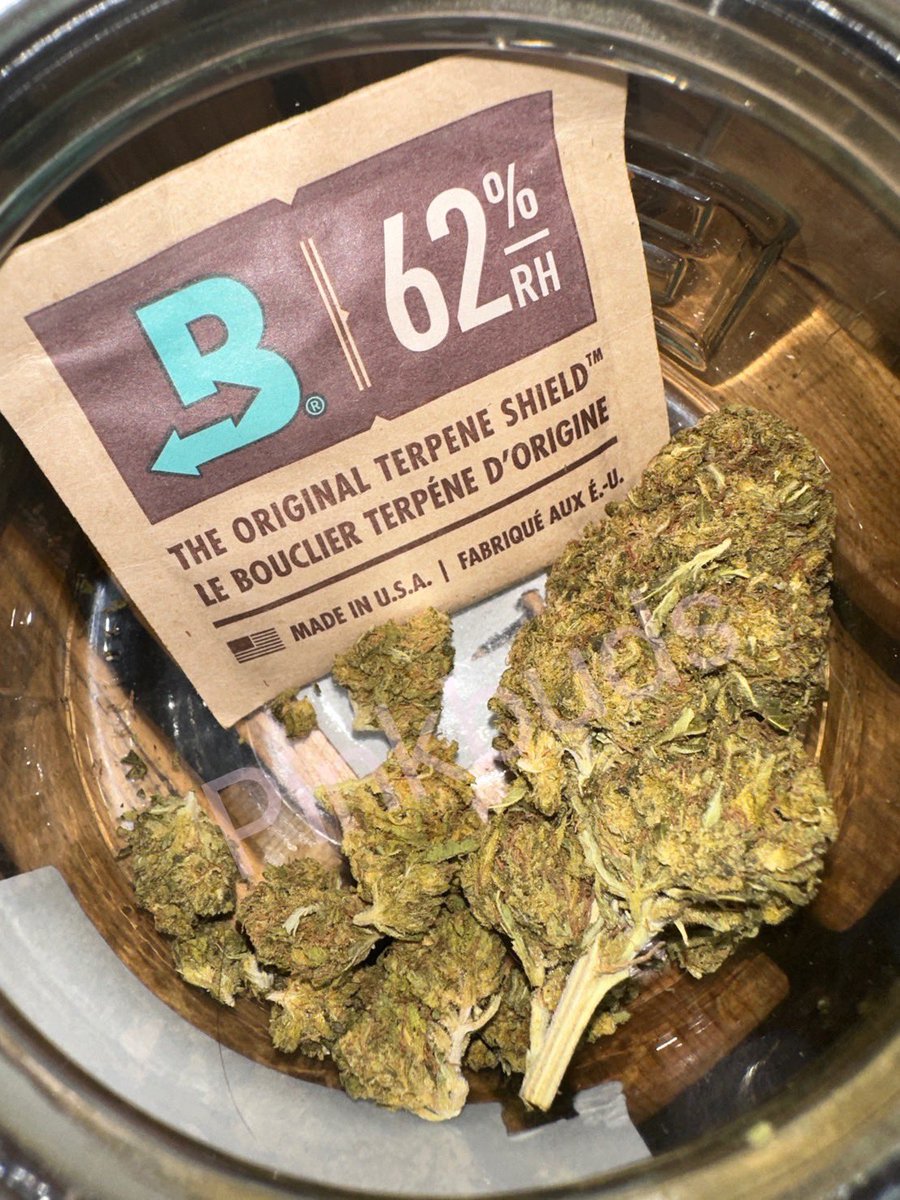 pinkbuds420s's tweet photo. ‼️เปิดร้านใหม่จัดโปร ปีใหม่ 350/g // 10g ลด 10%
 -pink runtz
-Apple fritter 🔥
-sunset shabet.
-jolly rancher
-ice cream cake
-gelato#33
-platinum og
 -double diesel   
-New York city diesel🔥
นัดรับคลอง6 ได้เลย💚
สอบถามเพิ่มเติมได้ที่ https://t.co/n2Gy4UuY3Q~ https://t.co/Pux6J2bSwP