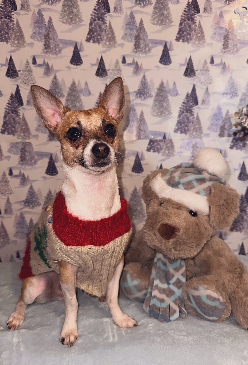 ♡𝐿𝑒𝓍𝒷𝟤𝟥♡ tweet media