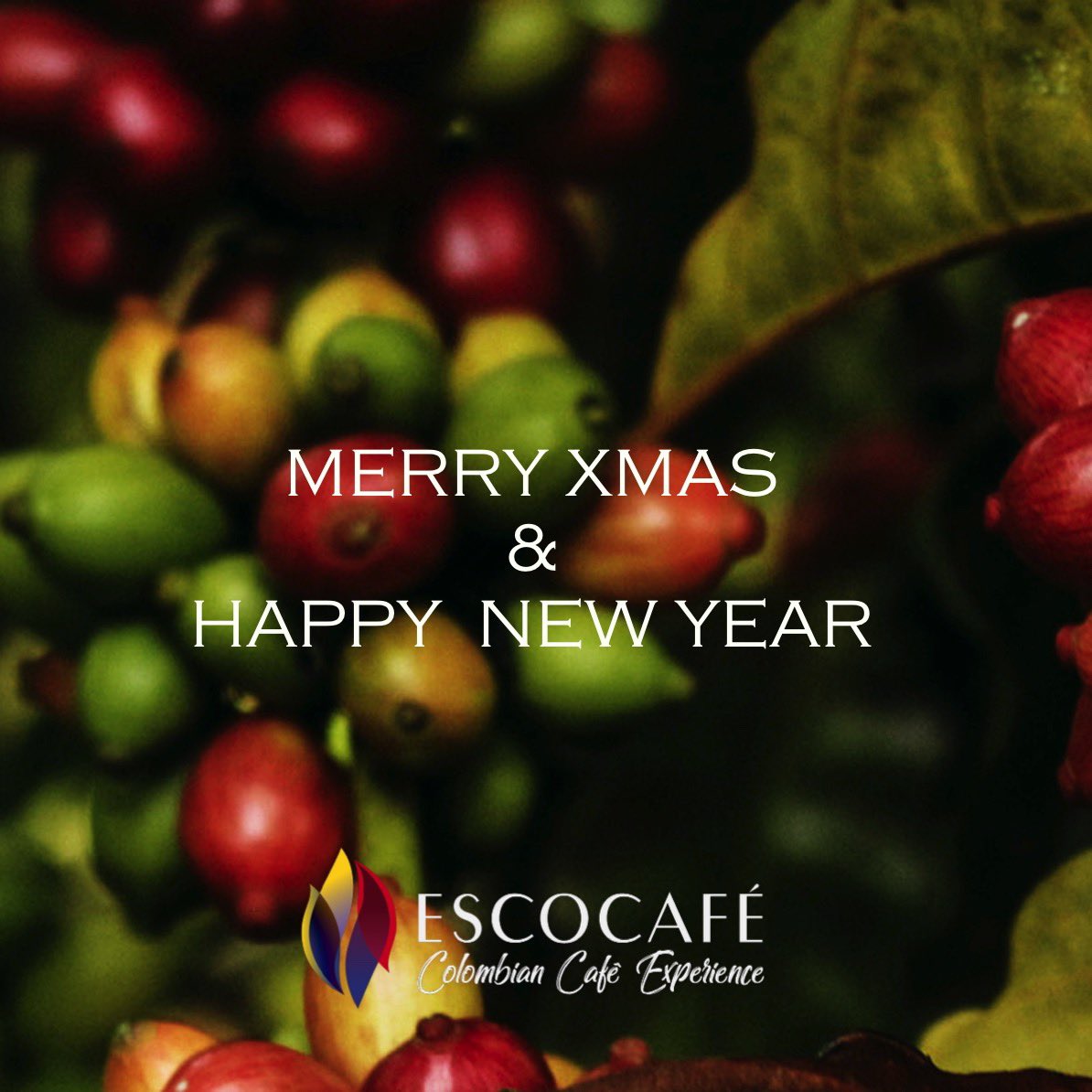 escocafe's tweet photo. Merry Xmas and happy new year from the best Colombian coffee producers!

https://t.co/cAyEZLfftk

#specialtycoffee https://t.co/7GcvikQxeE