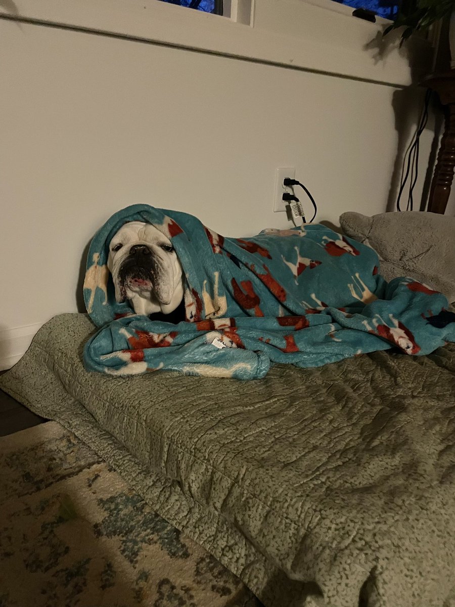 zavalation's tweet image. Domingo de bajón 🥹 #feliznavidad #comedia #comedy #lacascara #navidad #christmas #xmas #merrychristmas