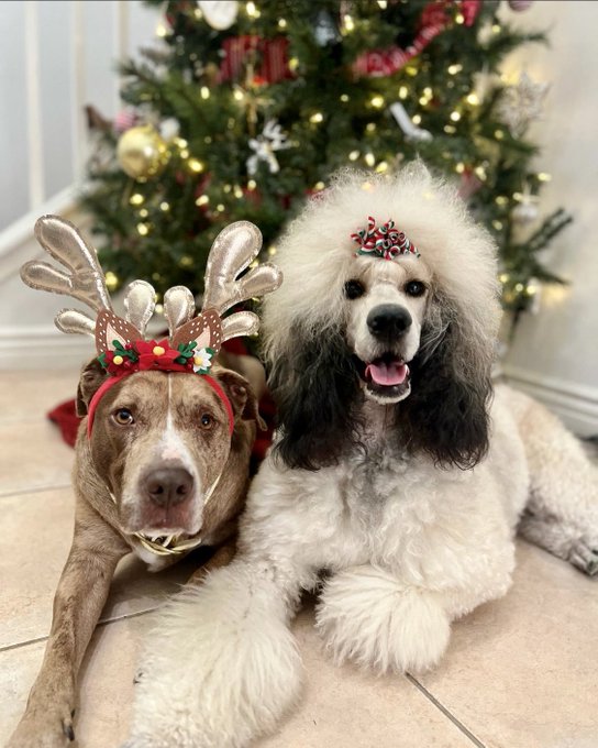 Watch ProFotoX's leaked NSFW photo on TwXstars